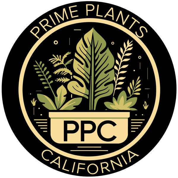 Prime Plants California