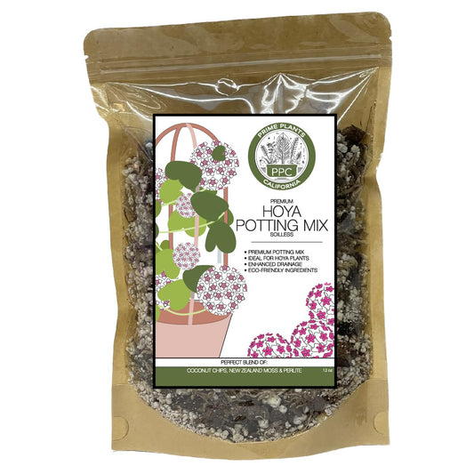 Premium Hoya Potting Mix - Prime Hoya Mix - Hoya Plant Premium Well Draining Soilless Potting Mix - Made Specially for Hoya Cuttings, Seedlings, or Mother Plants - CA Hoya Grower