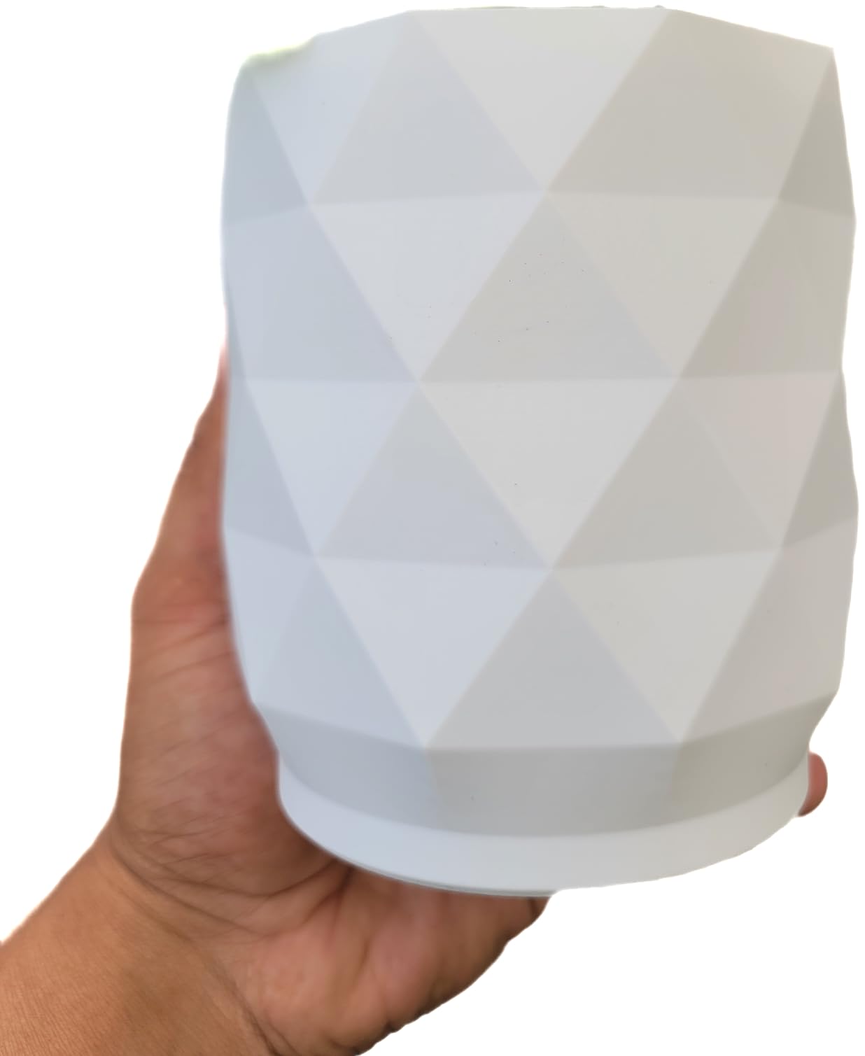 Braided Chinese Money Tree Live Plant - Now Available in Geometric Self-Watering Planter - Pachira Aquatica - Live Bonsai Tree - Air Purifying Plant